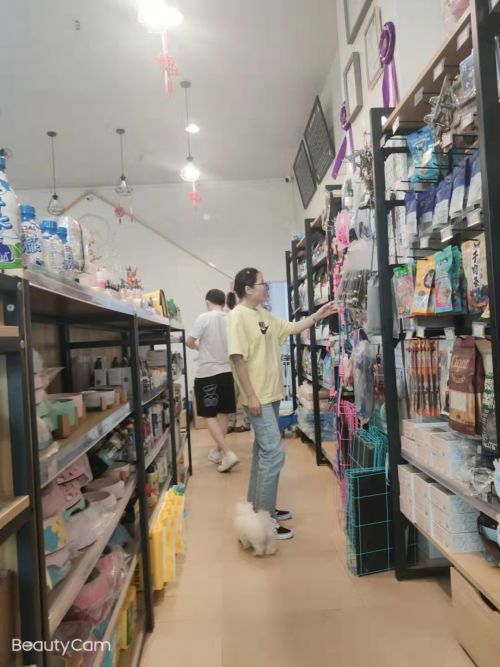 上海尊寵寵物代理商聯(lián)盟增值服務再升級 賦能線下門店新動力