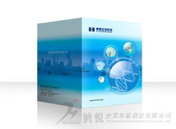 東莞號悅廣告 一站式專業(yè)設(shè)計與技術(shù)解決方案