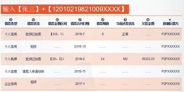 百家風控公司揭秘系列 第91期——征信公司及產品調研報告與市場調查深度解析
